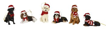 Dogs sitting and lying with santa hat