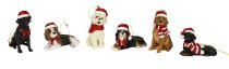 Hunde sitzend und liegend mit