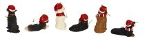 Dogs sitting and lying with santa hat