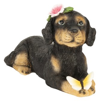 Dog lying with flowers and butterfly