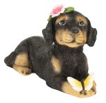Hund liegend mit Blume & Schmetterling