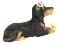 Dog lying with flowers and butterfly