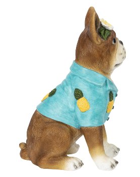 Dog sitting with shirt and flowers