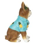 Dog sitting with shirt and flowers