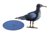 Metall Möve blau-schwarz h=20cm b=24cm