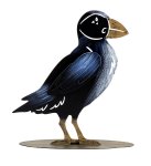 Metal raven blue/black h=21cm w=17cm