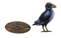 Metal raven blue/black h=21cm w=17cm