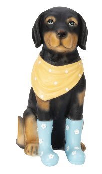 Dog sitting with shoes and scarf