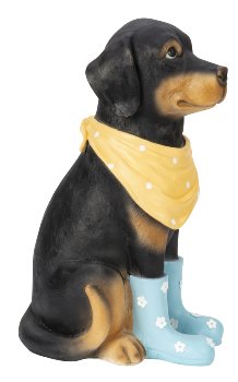 Dog sitting with shoes and scarf