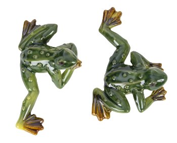Frogs lying h=6-7cm w=19cm asst.