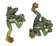 Frogs lying h=6-7cm w=19cm asst.