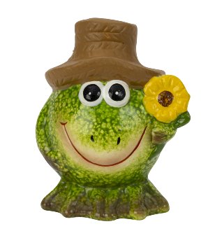 Funny frog in green with brown hat