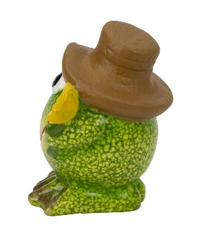 Funny frog in green with brown hat