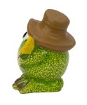 Funny frog in green with brown hat