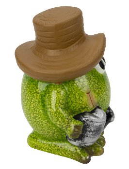 Funny frog in green with brown hat