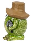 Funny frog in green with brown hat