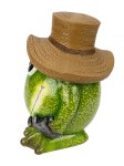 Funny frog in green with brown hat