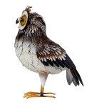Metal owl standing h=35cm w=30cm