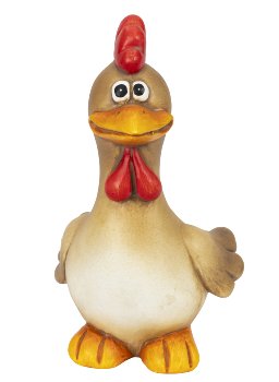 Funny rooster with bigger eyes standing