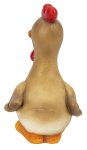 Funny rooster with bigger eyes standing
