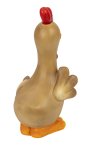 Funny rooster with bigger eyes standing