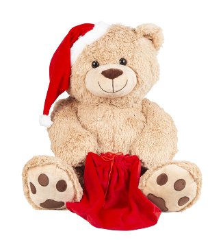 Bear with santa hat and red bag (for