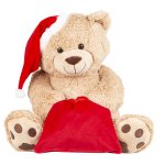 Bear with santa hat and red bag (for