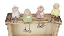sheep with curly hair and softlegs