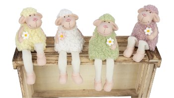 sheep with curly hair and softlegs