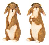 Cute eastern rabbits standing with