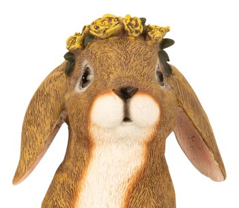 Cute eastern rabbit standing with flower