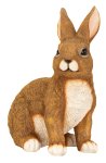 Eastern rabbit brown sitting h=31cm