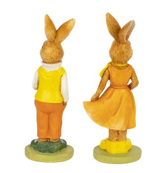 Eastern rabbit standing with nice