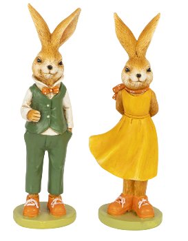 Eastern rabbit standing with nice