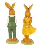 Eastern rabbit standing with nice