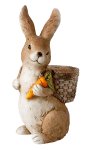 Rabbit sitting with basket on spine for