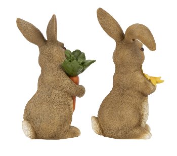 Eastern rabbit brown with flower &