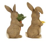Eastern rabbit brown with flower &