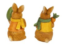 Eastern rabbit with carrot &