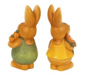 Eastern rabbit standing with flower &