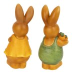 Eastern rabbit standing with flower &